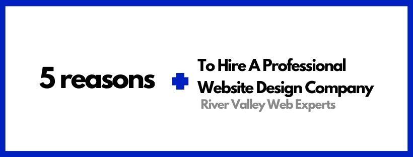 5 Reasons To Hire A Professional Website Design Company